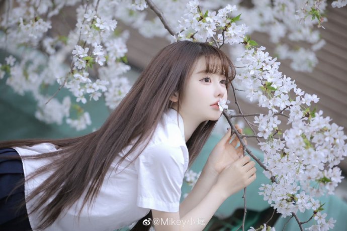 疯狂的石头 封面