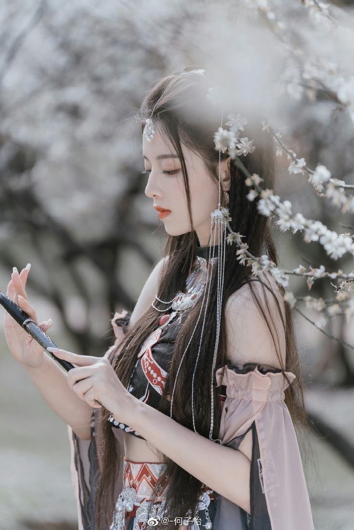 度华年 封面