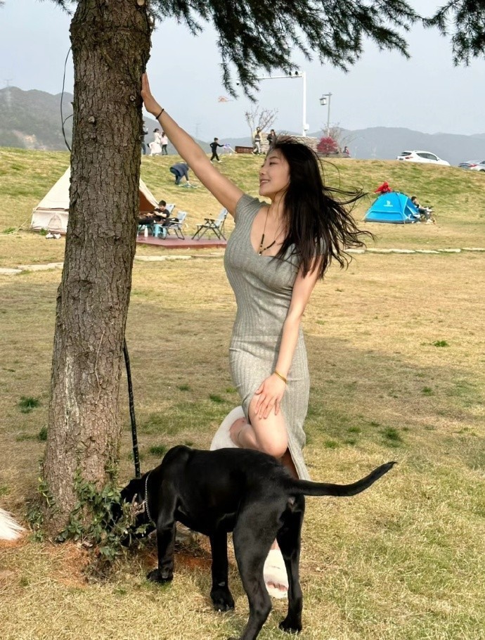 狂飙 封面